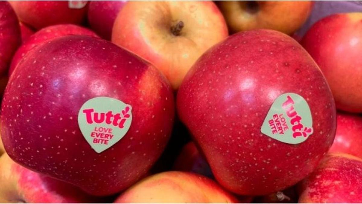 Manzana Tutti, una variedad adaptada a las altas temperaturas.