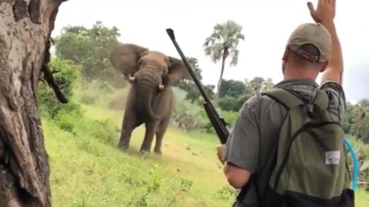 Dean Oellofse, guía del parque Kruger de Sudáfrica, detiene el ataque de un elefante.