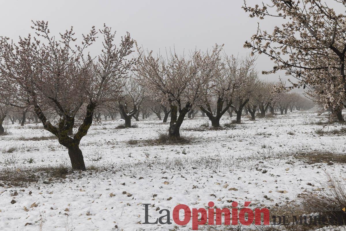 Descubre la última nevada del invierno en las proximidades de Revolcadores en Moratalla