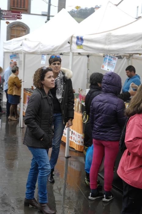 FERIA DE LA PAPA EN FIRGAS