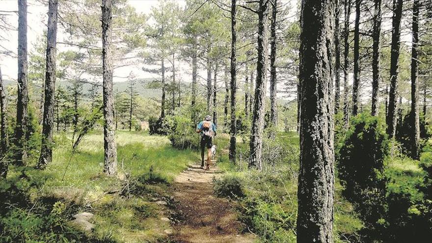 Els parcs naturals de Castelló mostren els beneficis saludables de la natura