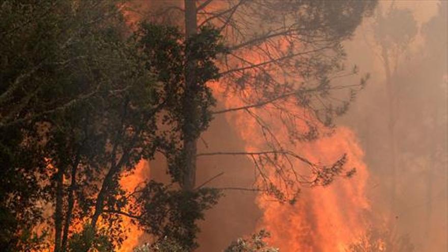 El fuego luso llega al quinto día reavivado por el viento