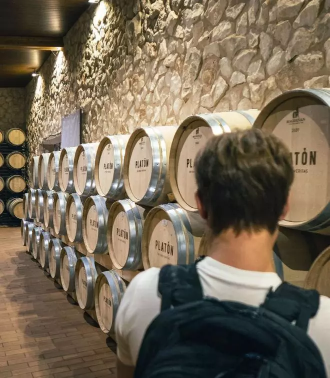 Más de 46.000 visitantes recorrieron la Ruta del Vino de Toro el pasado año