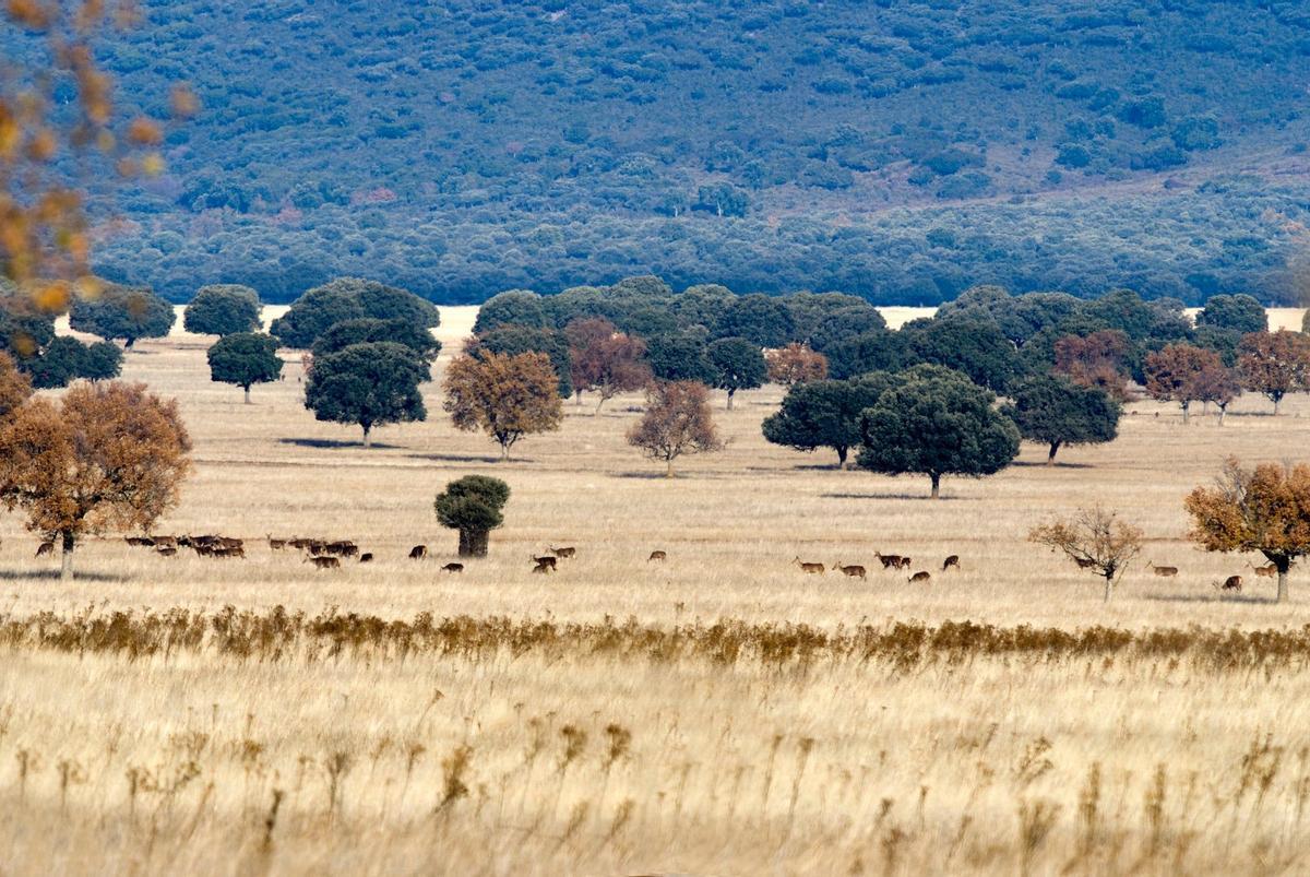 Entreparques: paraje de lagunas, volcanes y montañas