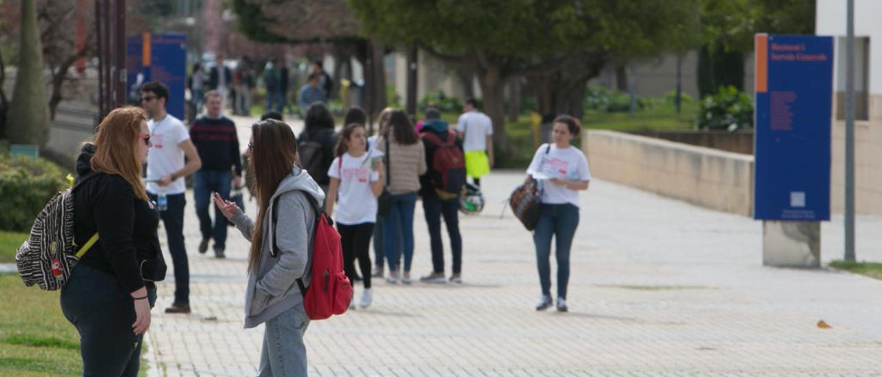 Estudiantes de la Universidad de Alicante en el campus.