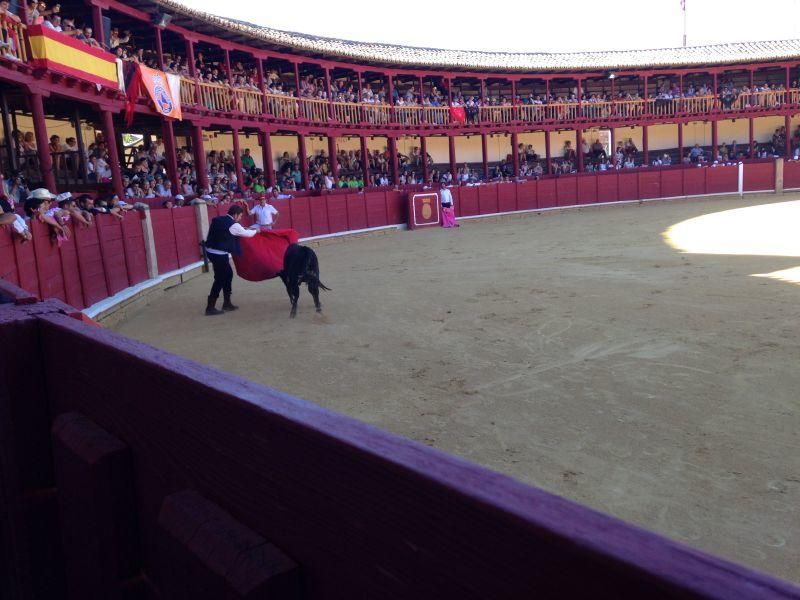 Fiestas en Toro | Becerrada de las peñas