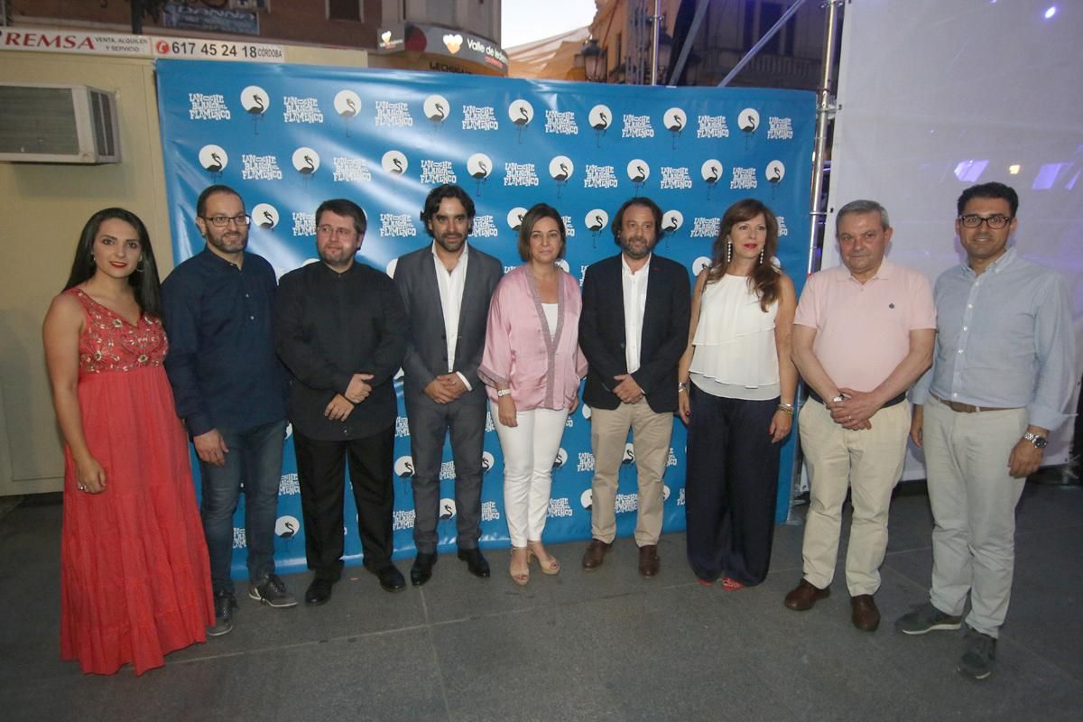 FOTOGALERIA / Las mejores imágenes de la Noche Blanca del Flamenco