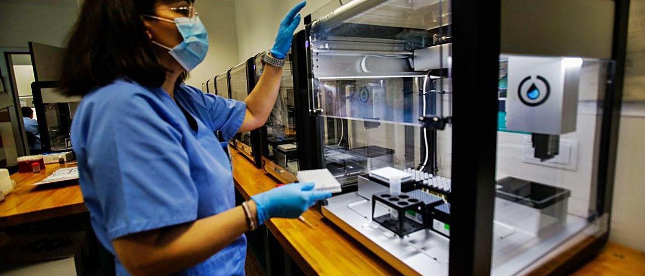 Máquina de diagnóstico microbiológico del Hospital La Fe que analiza hasta 3.500 PCR diarias.