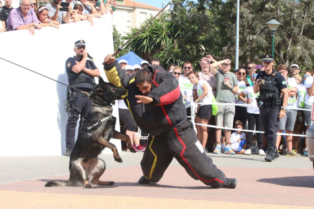 El Parque Huelin ha acogido la primera edición de un evento destinado a las mascotas y a sus dueños, con carreras en diversas categorías, actividades gratuitas y numerosos stands