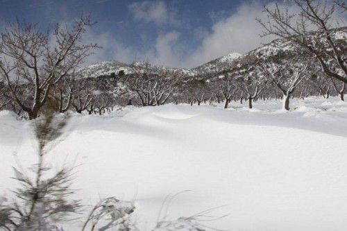 El temporal tiñe de blanco los campos de Moratalla y Caravaca
