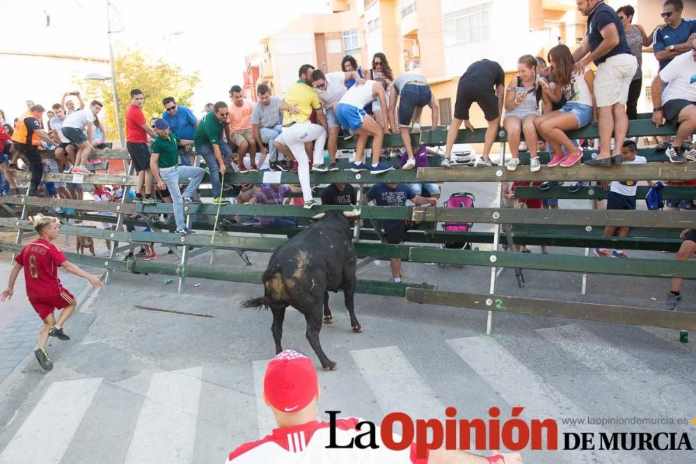 Primer encierro de Calasparra