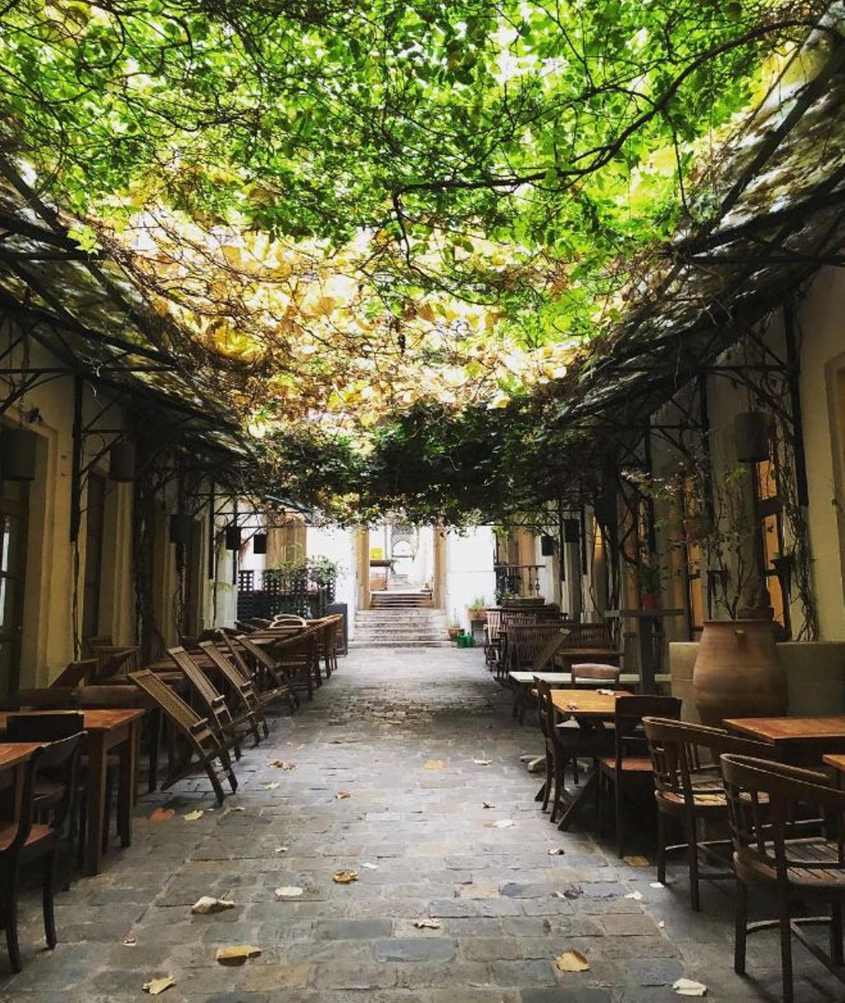 Cafè Erich, Viena, Austria