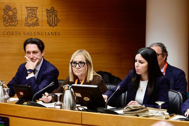 Asociaciones de víctimas declaran en la Comisión de la dana en las Corts