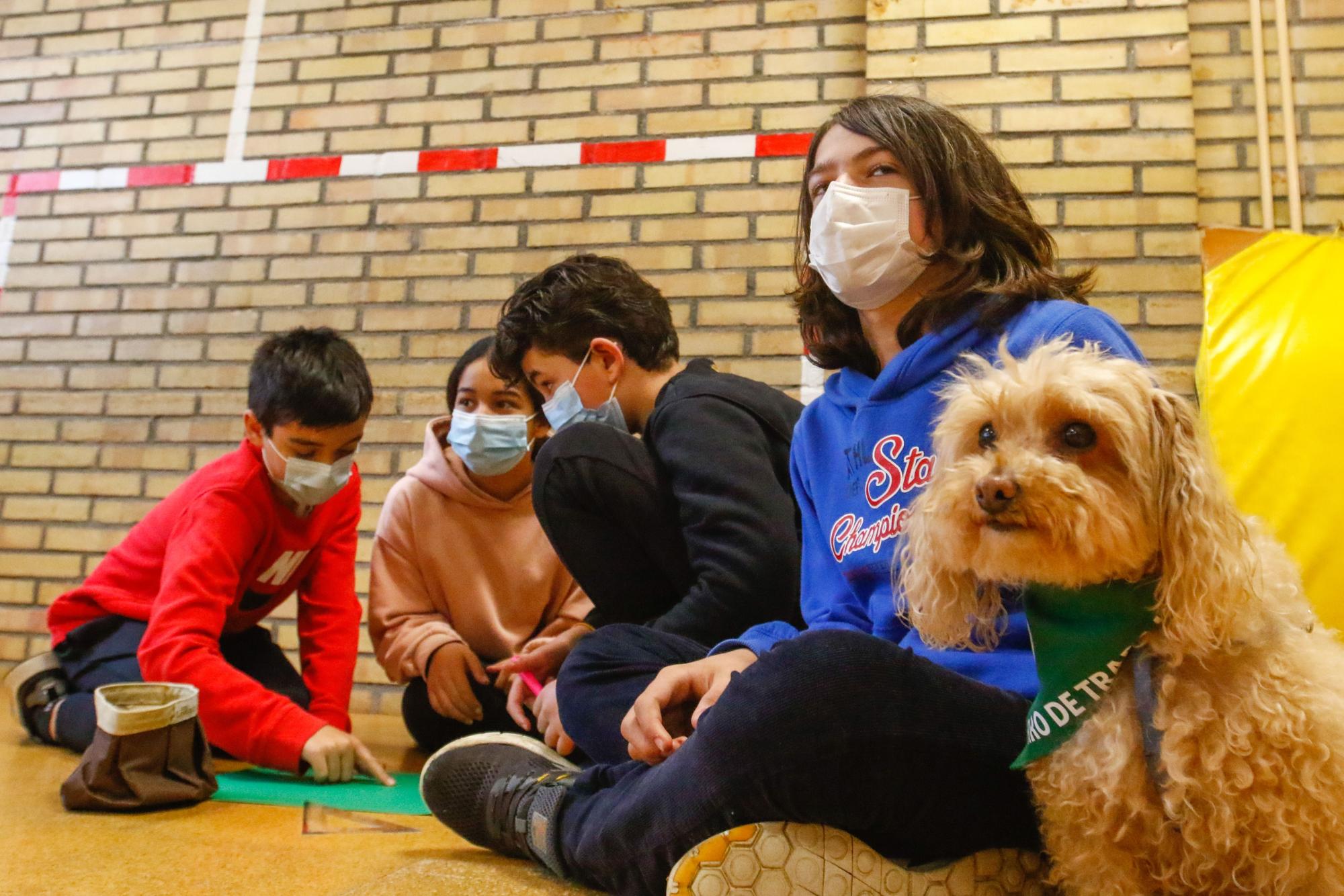 Los alumnos del Arealonga aprenden valores con "profes" caninos