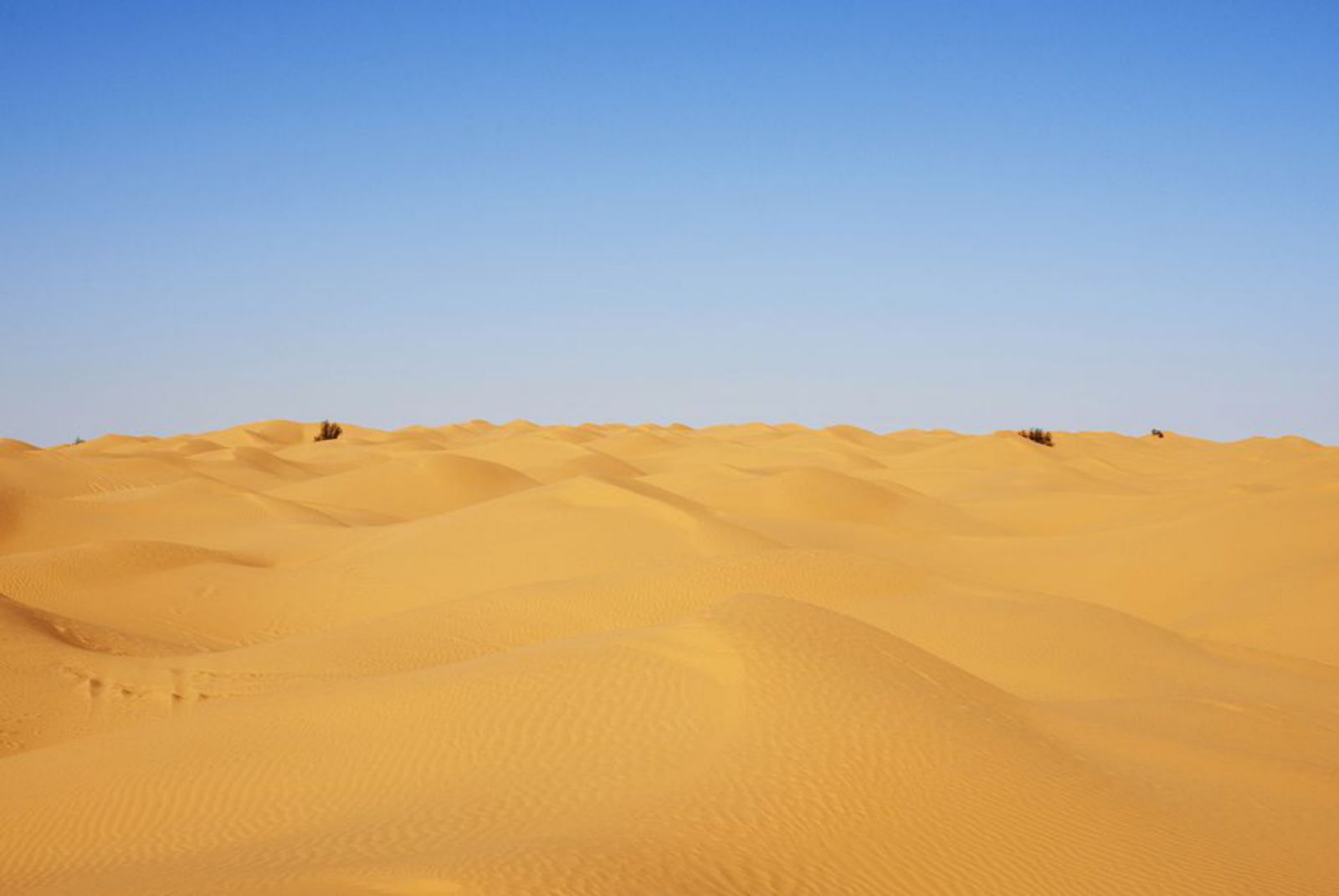 Fotografía del desierto incluida en el libro.