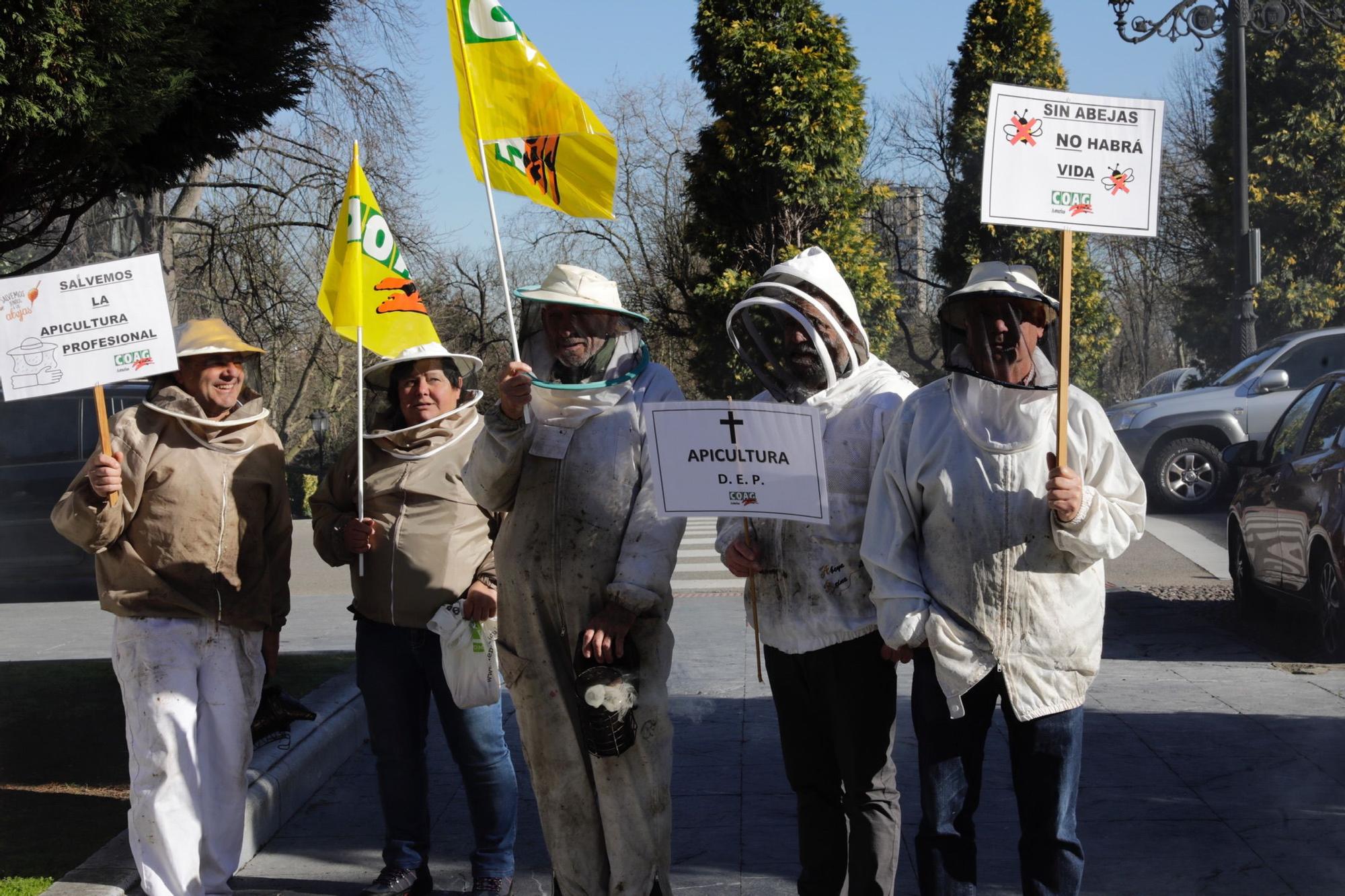 EN IMÁGENES: Así fue la protesta de apicultores en Oviedo