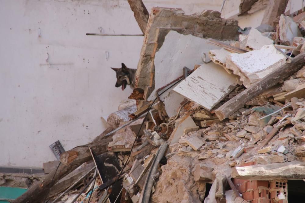 Buscan a una mujer entre los escombros del tercer edificio derrumbado en Alcoy por el temporal