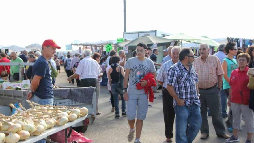 Buen ambiente de público visitando los puestos del mercado.