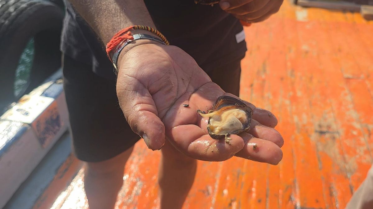 Una pieza abierta con el tamaño adecuado