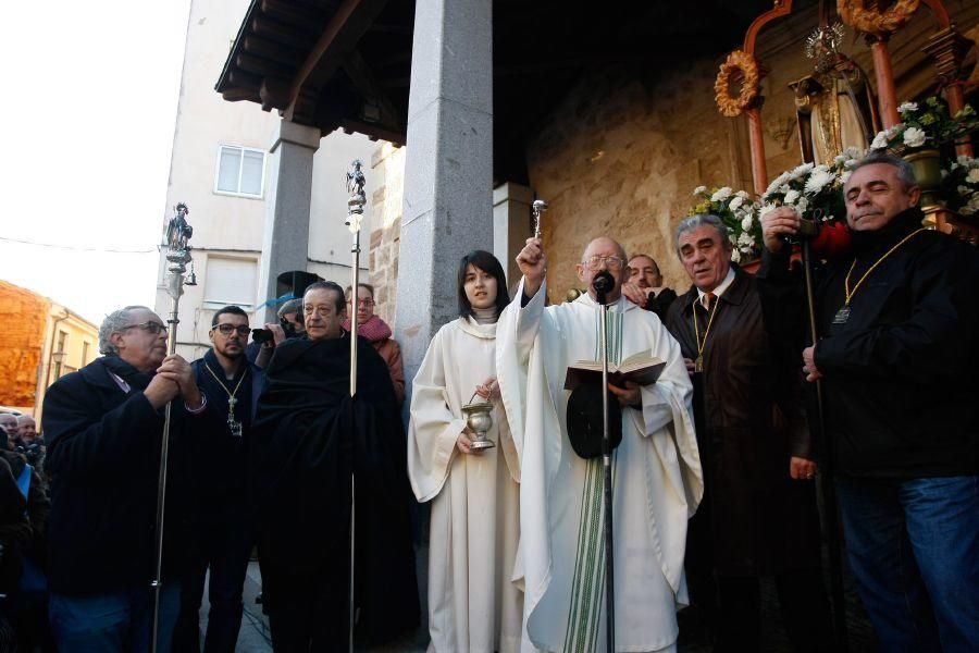 Los perros gobiernan por san Antón en Zamora