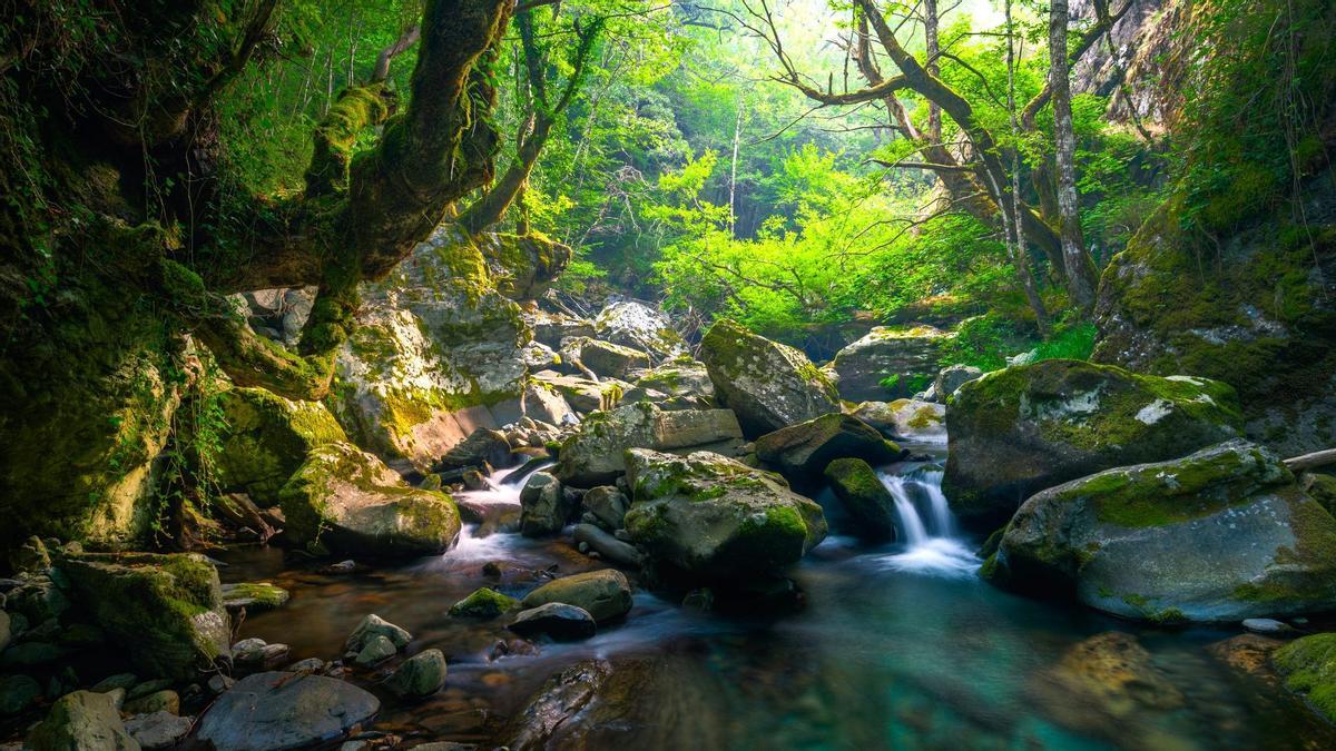 Este paisaje entre Galicia y Lugo es como un pedazo de Escocia en España