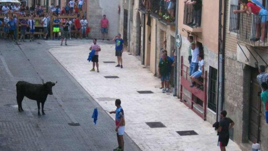 Un aficionado cita a la vaquilla con un pañuelo, ante la atenta mirada del público en la calle Rejadorada.