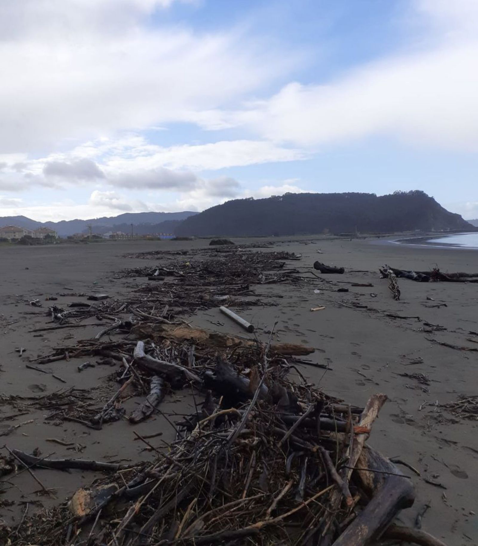 Madera acumulada en la playa de La Arena