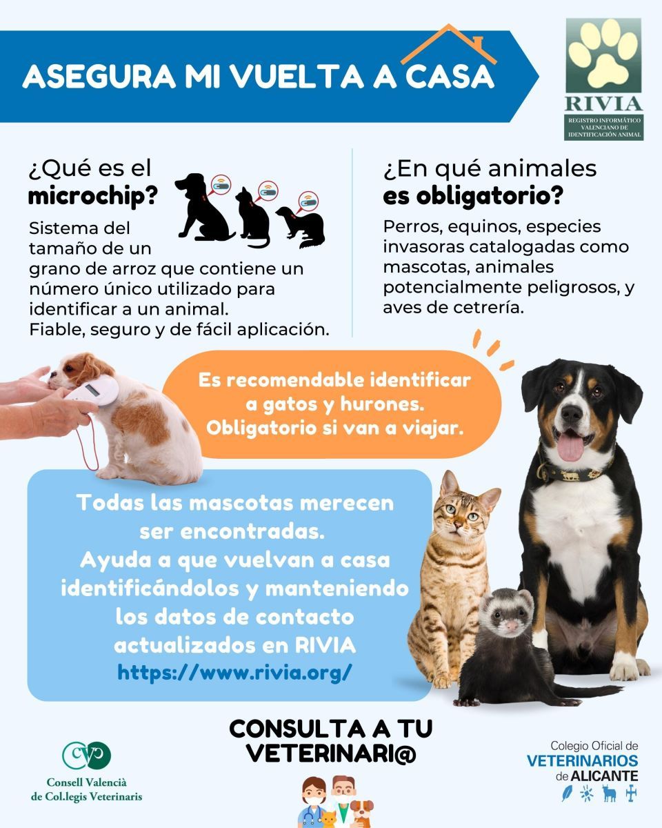 Póster de una de las últimas campañas de ICOVAL en la que se recomienda -puesto que la Ley no lo exige- identificar también a los gatos.