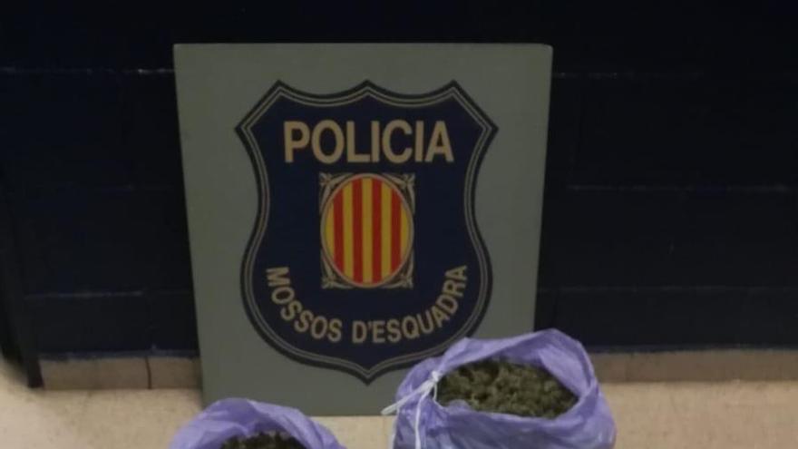 La marihuana comissada a Corçà.