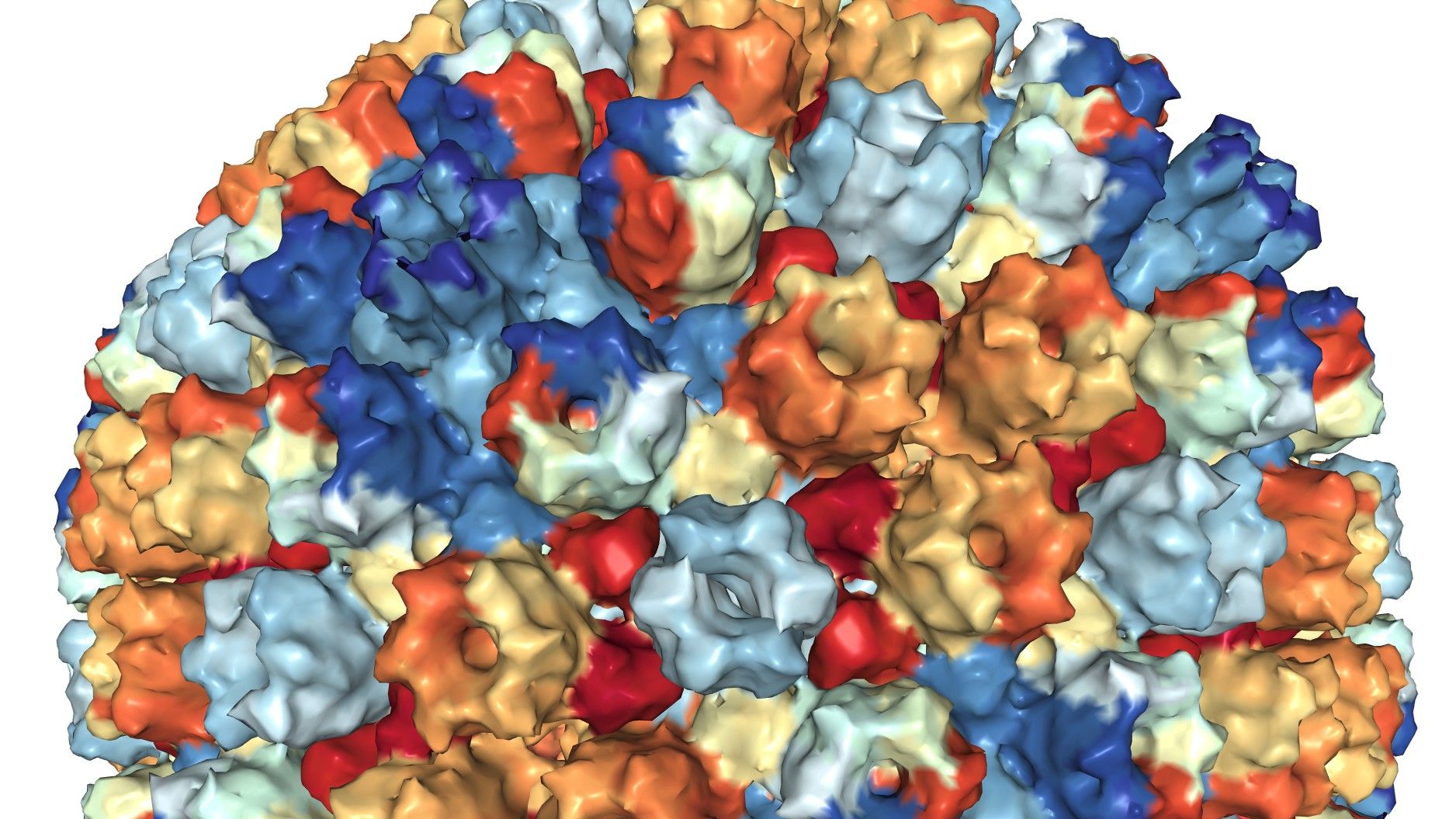 Virus Epstein-Barr visualizado por microscopía electrónica (PDB 7BSI).