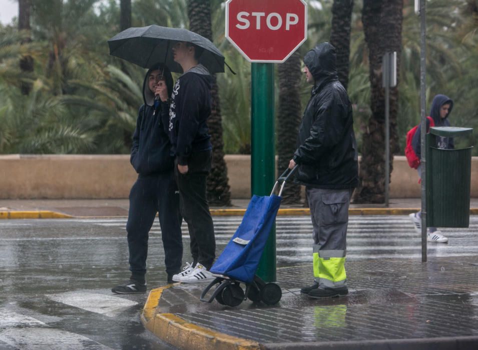 Nuevo temporal en Elche