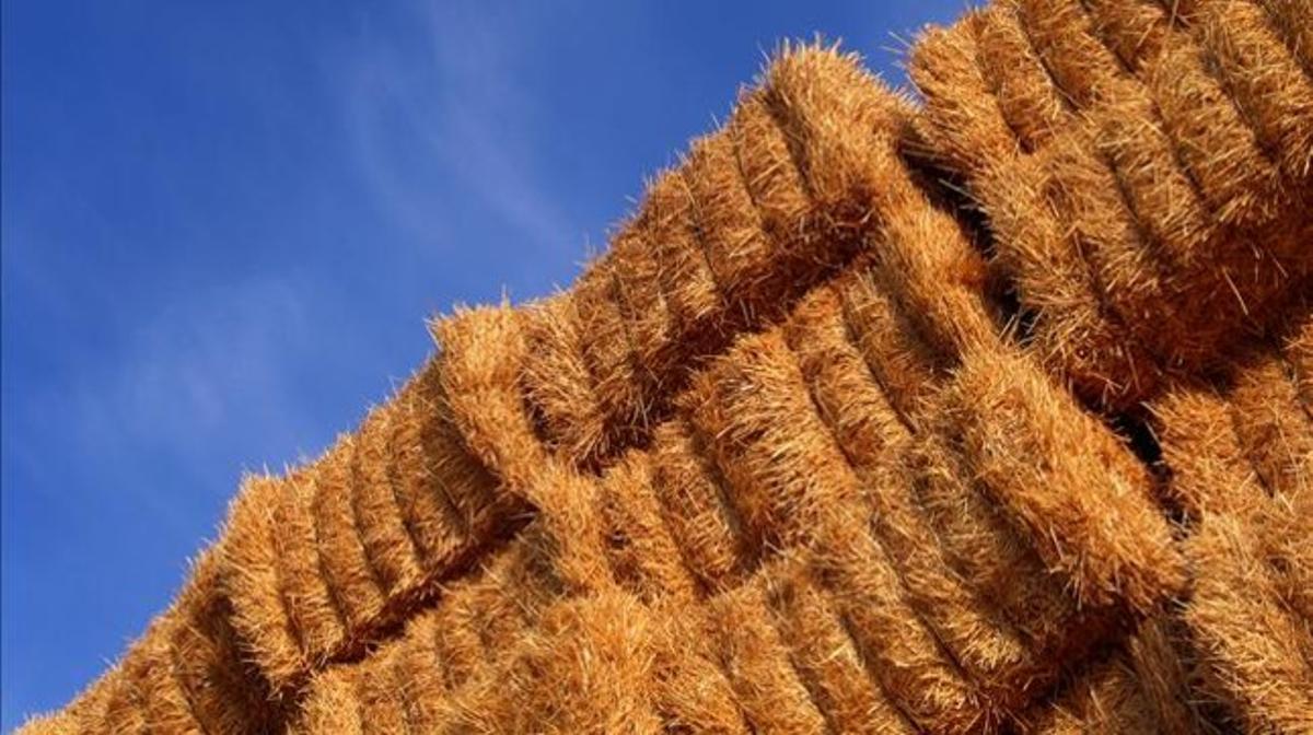 Bales de palla en un camp de cereals.