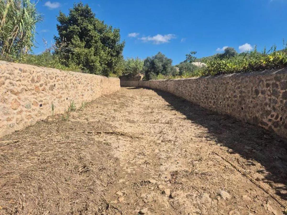 Torrente totalmente arrasado en Ibiza por el gobierno autonómico