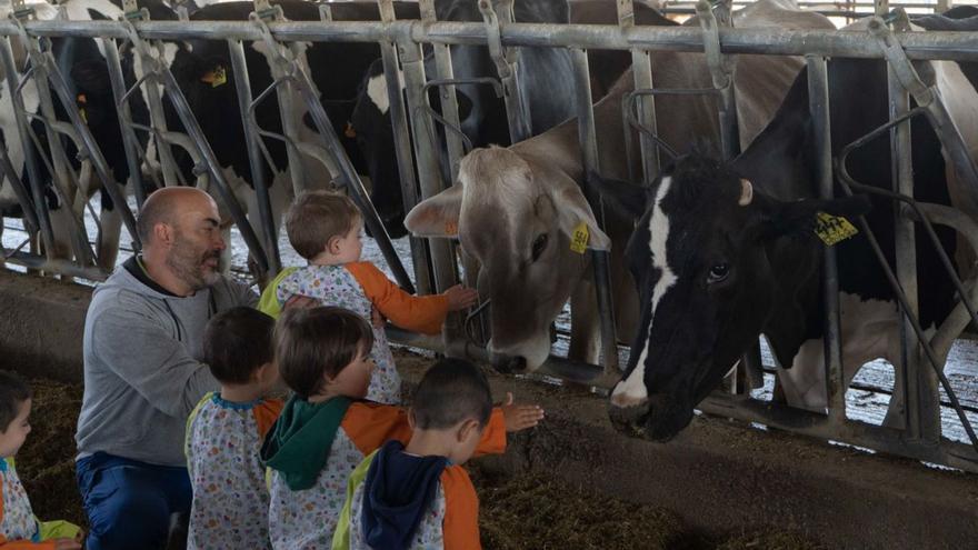 El ganadero Jorge Hernández muestra sus vacas a los niños. | José Luis Fernández