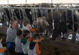 Excursión a la "granja de Jorge": El día a día de un ganadero de Zamora