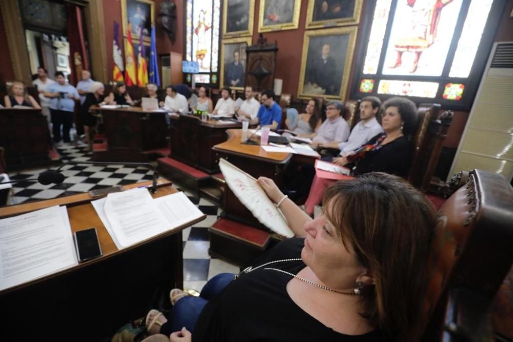 Pleno de Cort con calor, protestas vecinales y gritos