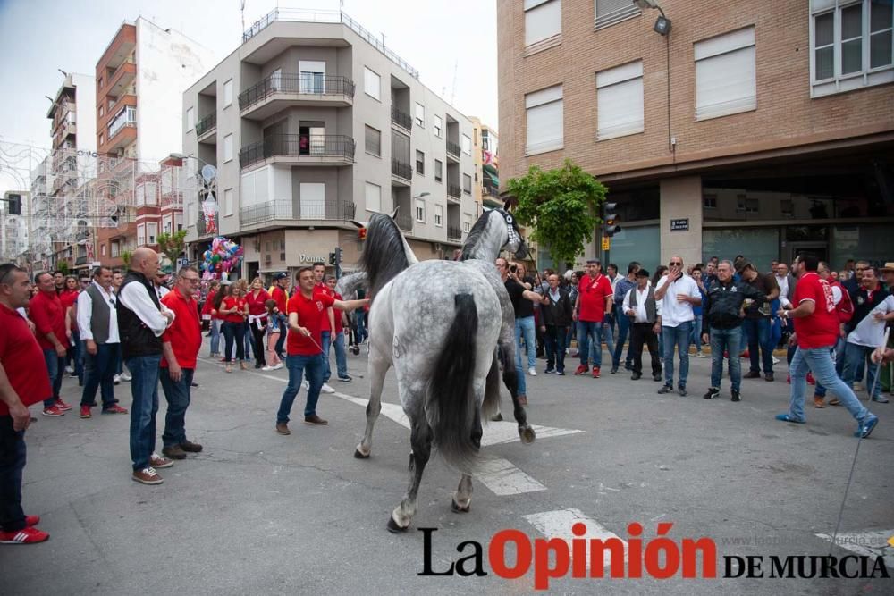 Caballos del Vino: Concurso morfológico (salida Pl