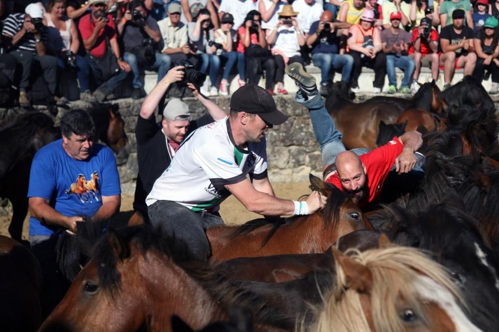 Más de quince "aloitadores" raparon a cerca de 200 caballos en el primer curro de Sabucedo