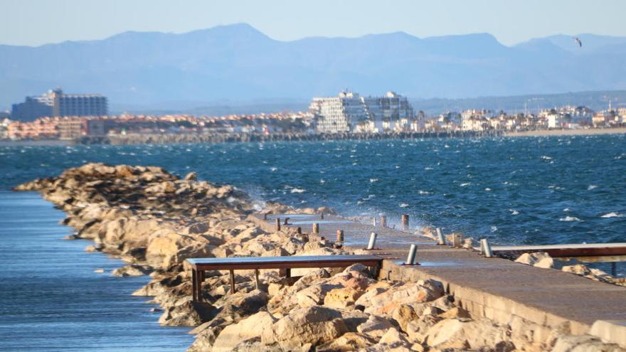 Descobreixen a Roses el «bosc marí» més gran de la costa catalana