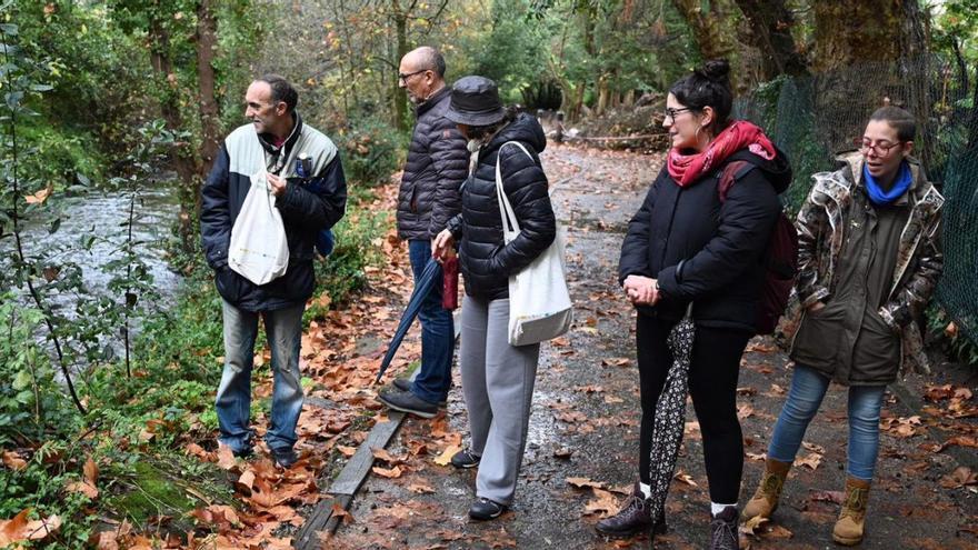 Varios senderistas pasearon río arriba descubriendo cada rincón.