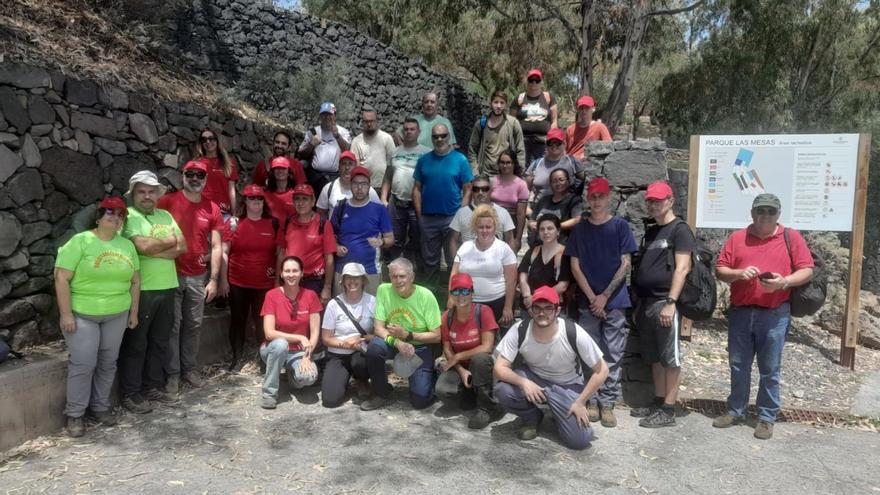 Los participantes en el programa de Fundación Cepsa para la recuperación del monte de Las Mesas.