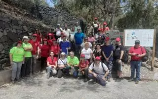 Voluntarios recogen semillas para salvar las sabinas de Las Mesas