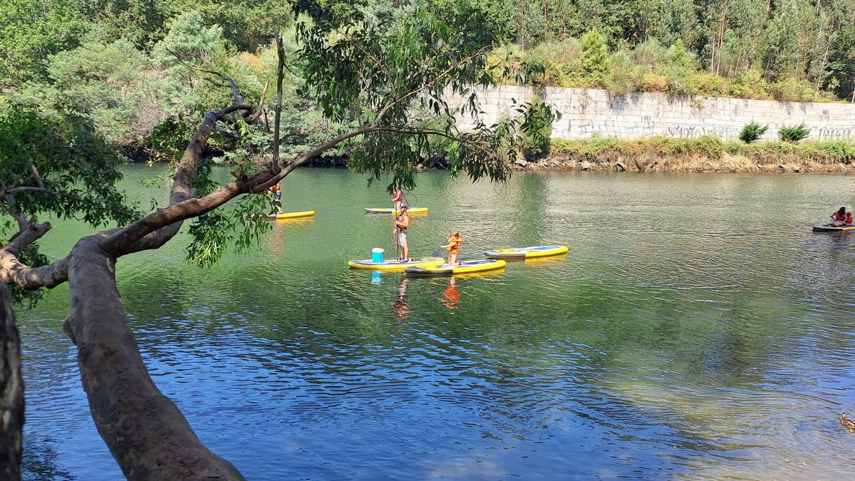 Con el apoyo de Ence, Cuidadores de Lérez combinará limpieza mediambiental y Paddle Surf en el cauce del Río Lérez en Pontevedra.