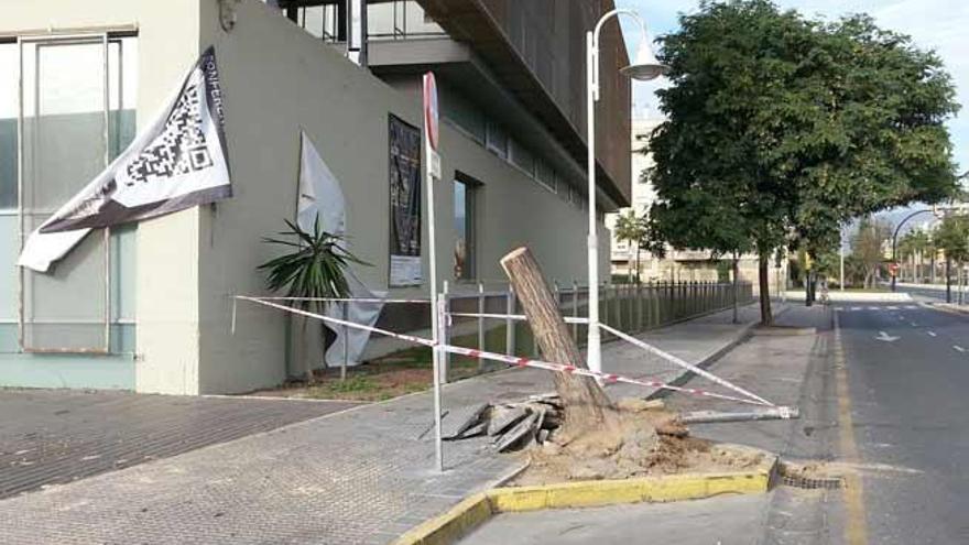 Daños en la calle Pacífico, junto al edificio de la Diputación.