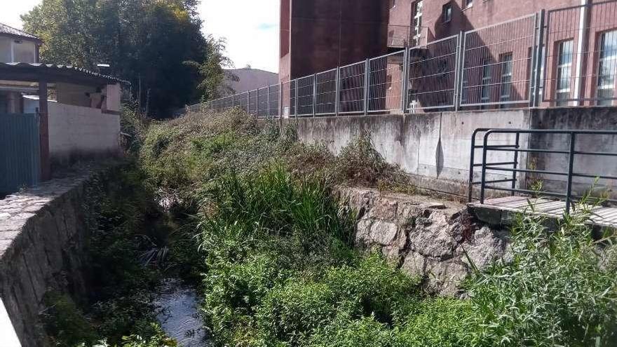 Vecinos de Sada exigen la limpieza del tramo urbano del río.