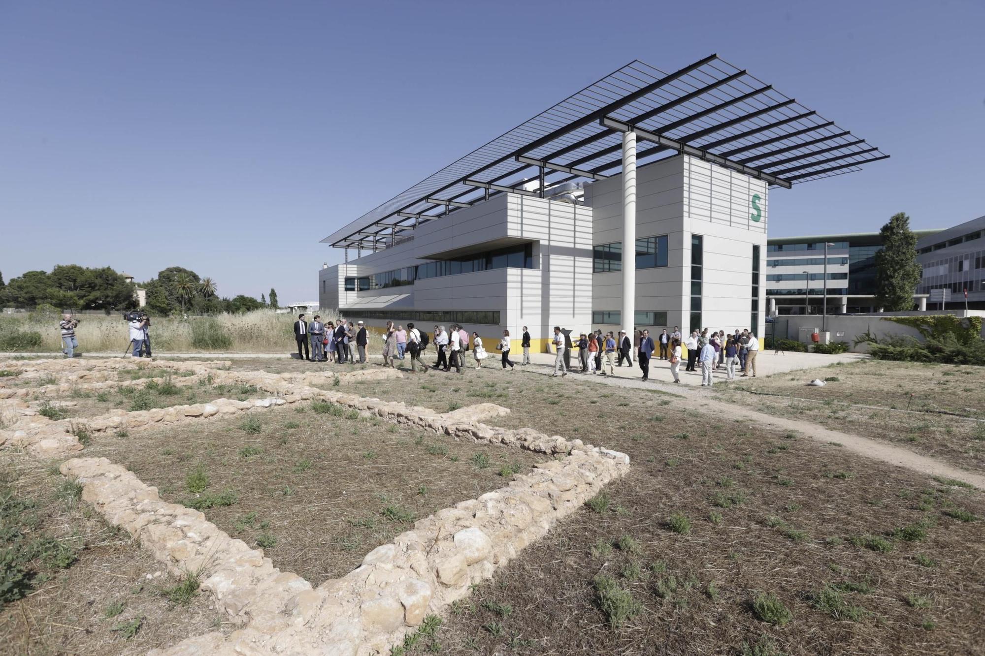 15 años de Son Espases