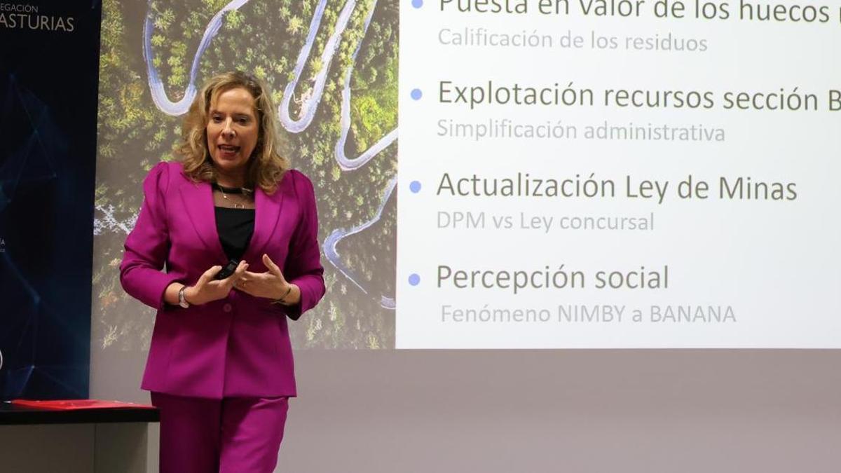 Belarmina Díaz, este miércoles, durante su intervención.