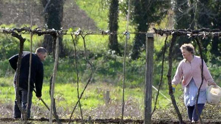 Medio siglo en el que perdimos el campo