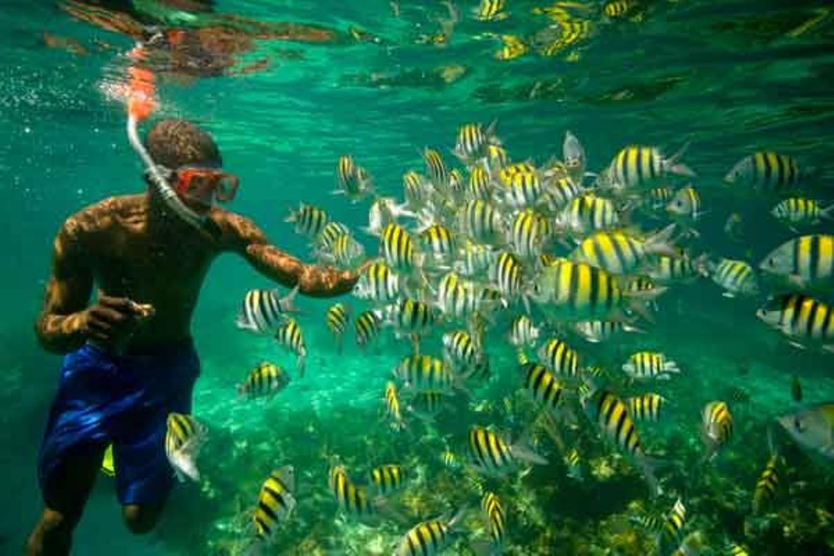 Nadando entre peces payaso en Long Bay, en la isla de San Salvador, en Bahamas.