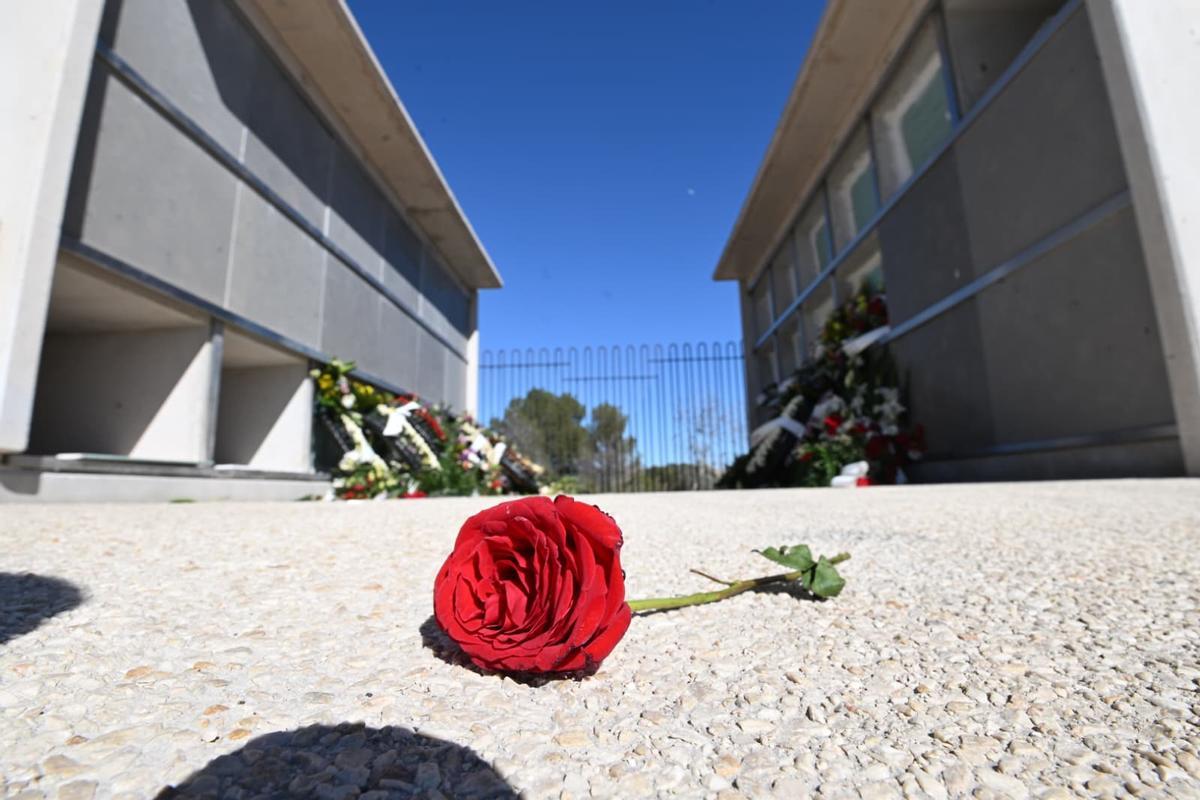 Buena parte de los nichos construidos recientemente ya se encuentran llenos en Elche